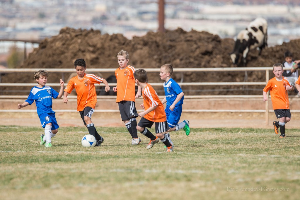 Ice Breaker soccer tournament attracts 200 teams Cedar City News