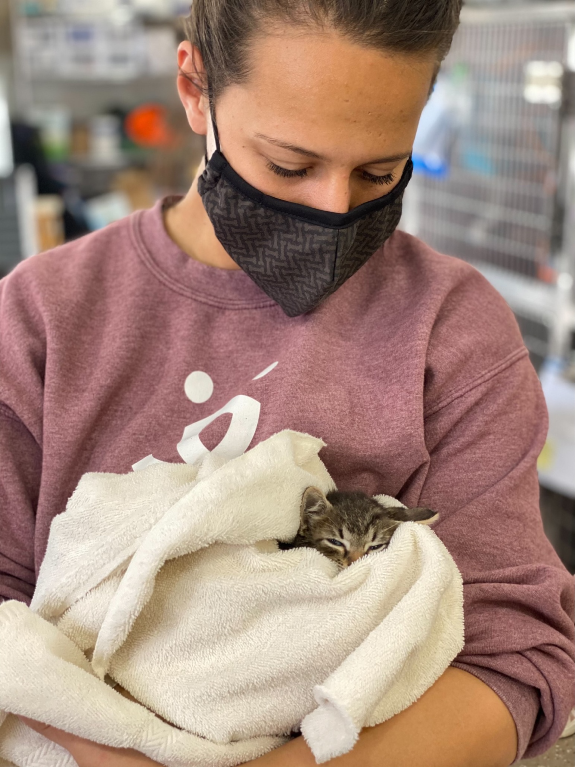 Best Friends Animal Society makes ’roundtheclock’ trip to Texas to