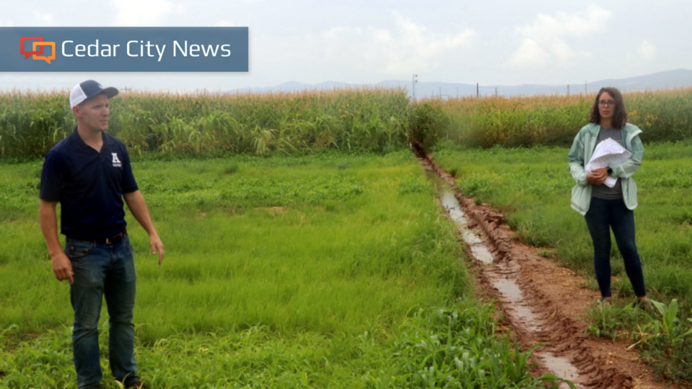 Cedar City adopts voluntary irrigation restriction schedule to help conserve water; rates go up