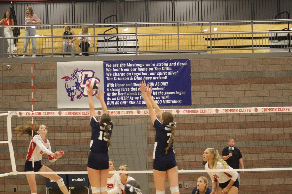 Region 10 volleyball: Top 3 teams in standings all win at home in 3-0  sweeps – Cedar City News