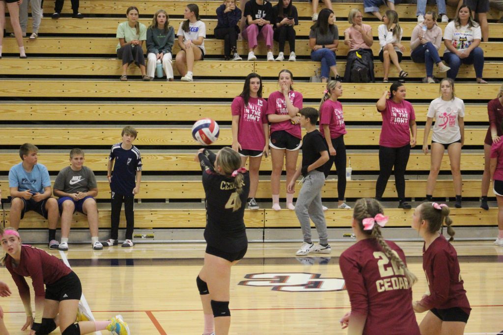 Region 10 volleyball: Top 3 teams in standings all win at home in 3-0  sweeps – Cedar City News